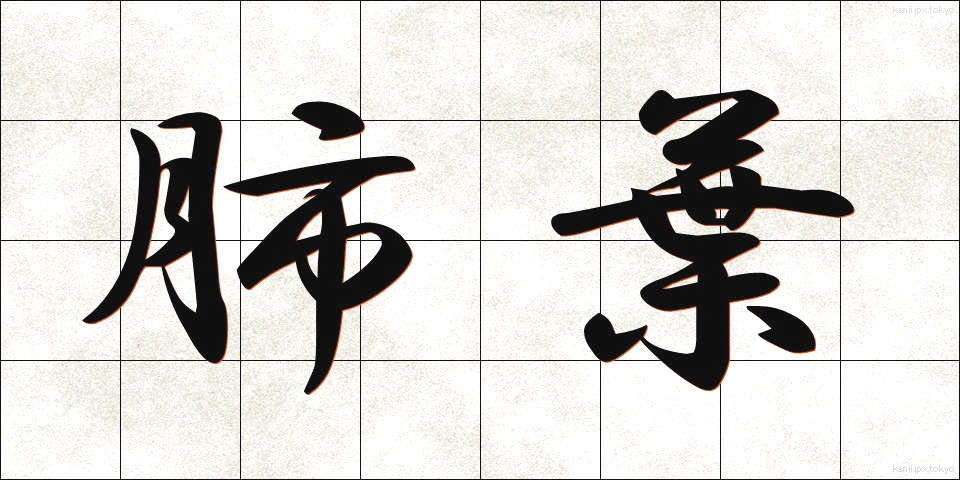 肺葉 (はいよう)