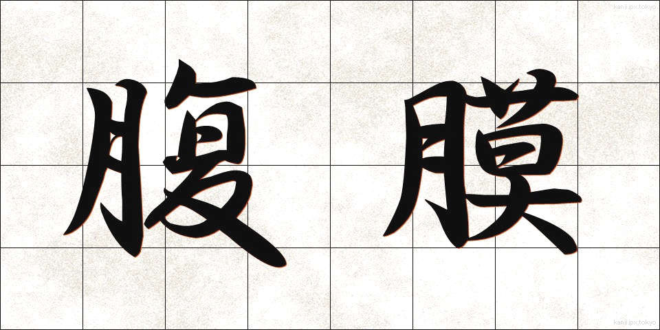 腹膜 (ふくまく)