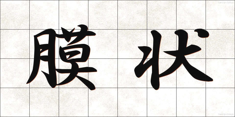 膜状 (まくじょう)