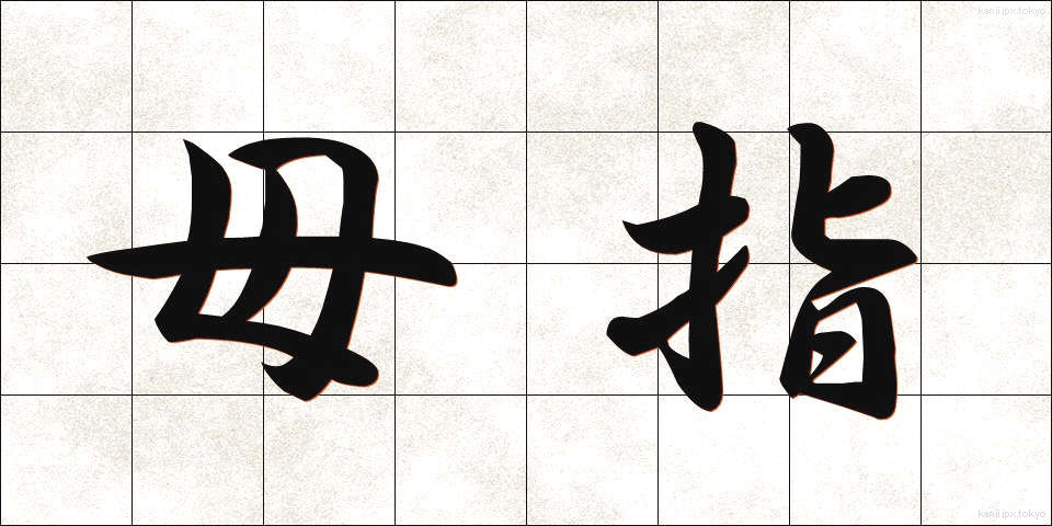 母指 (ぼし)