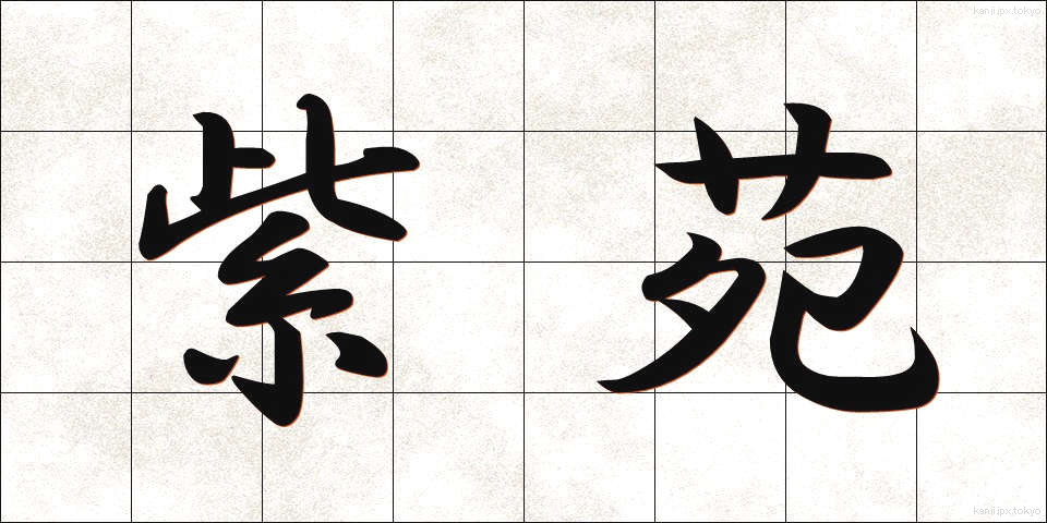 紫苑 (しおん)