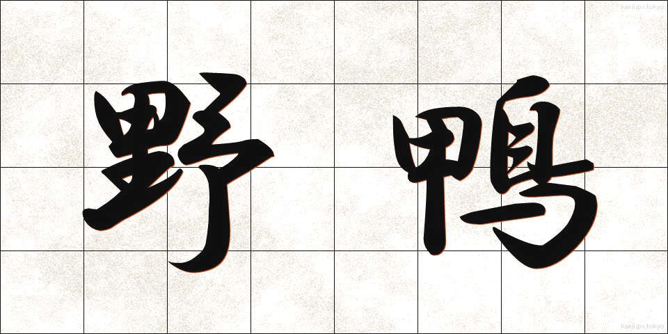 野鴨 (のがも)