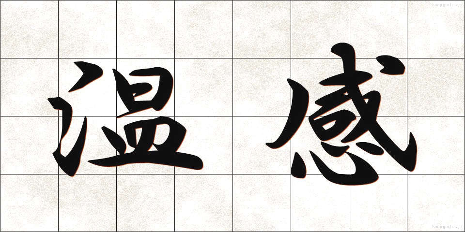 温感 (おんかん)