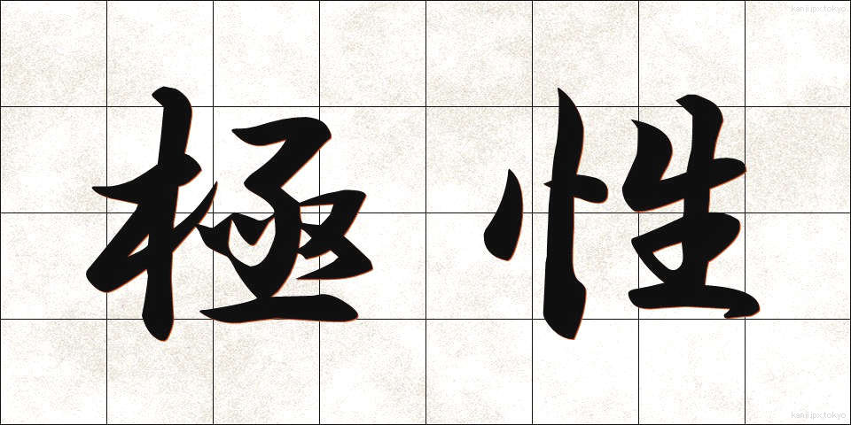 極性 (きょくせい)