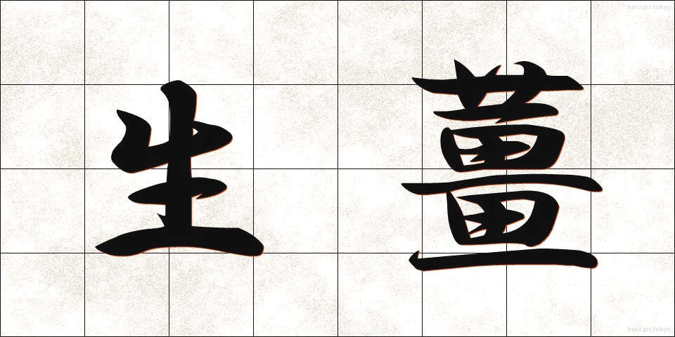 生薑 (しょうが)