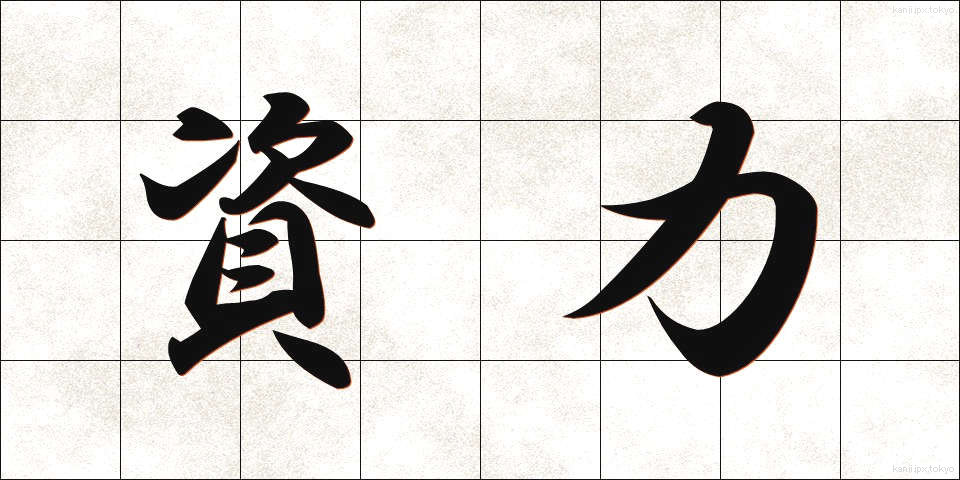 資力 (しりょく)