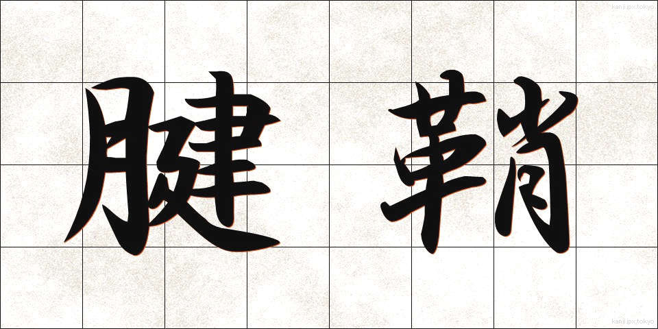 腱鞘 (けんしょう)