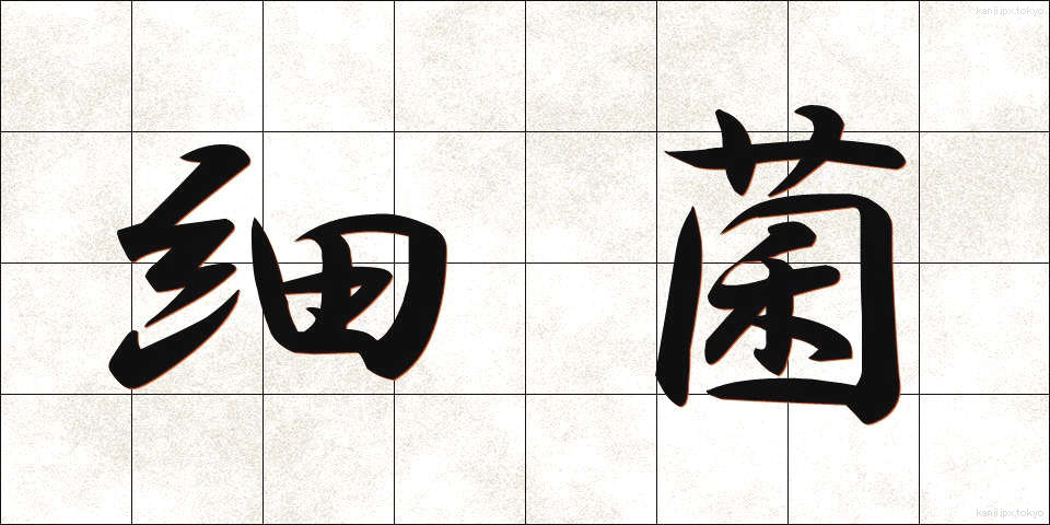 細菌 (さいきん)