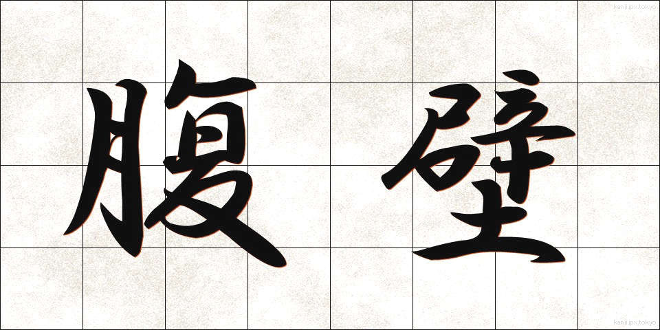 腹壁 (ふくへき)