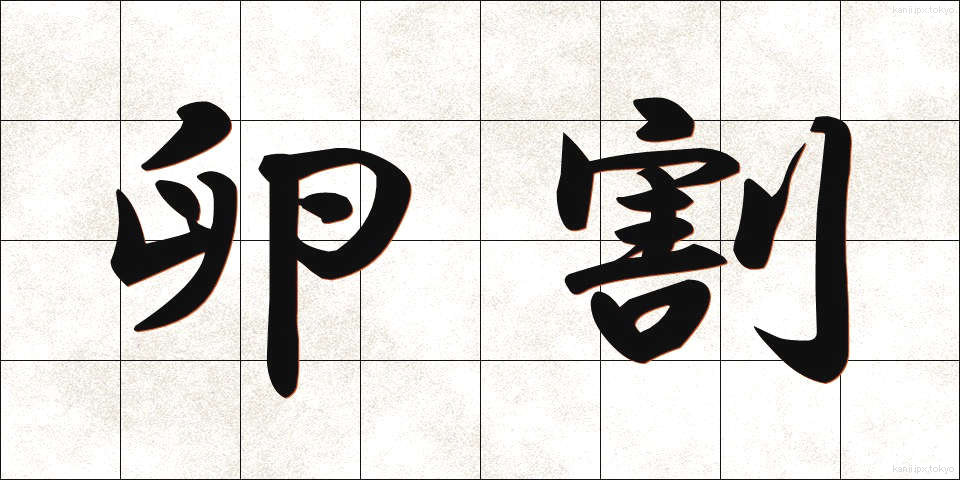 卵割 (らんかつ)