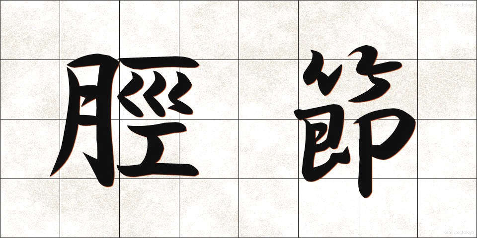 脛節 (けいせつ)