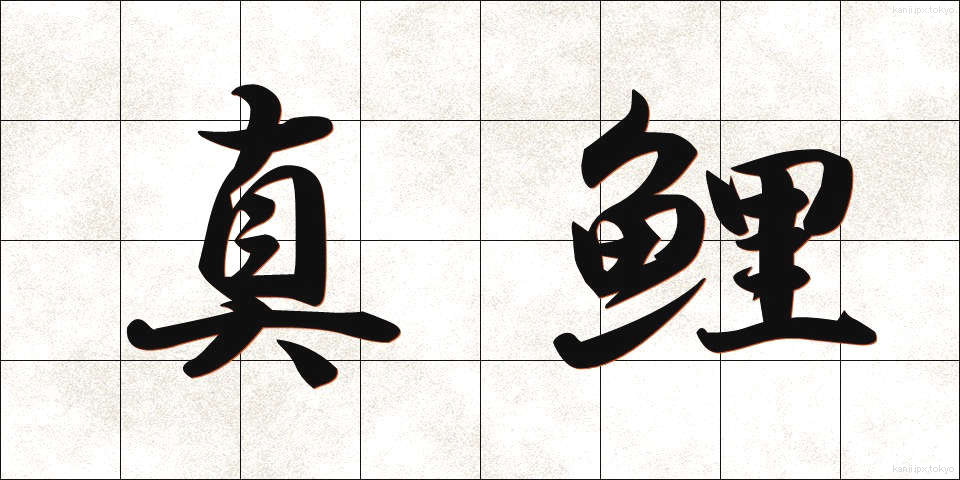 真鯉 (まごい)