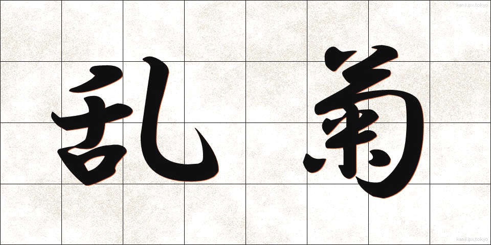 乱菊 (らんぎく)