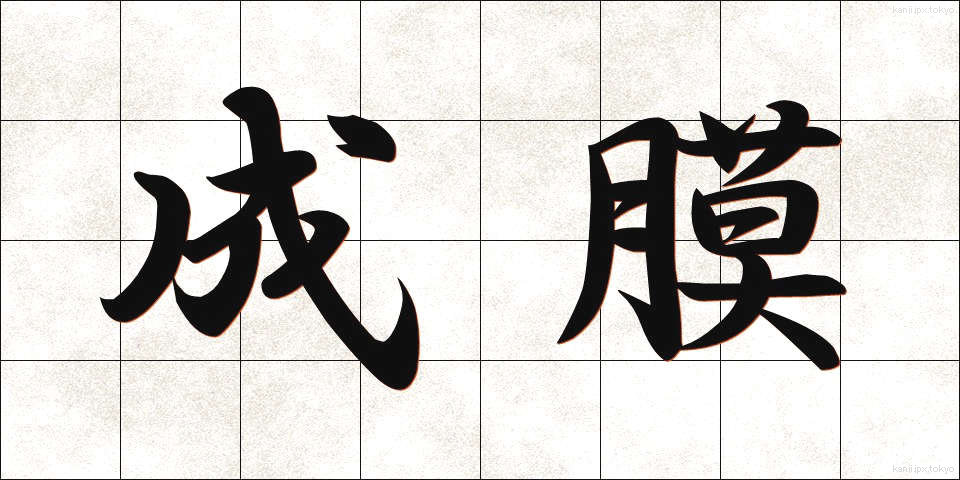 成膜 (せいまく)