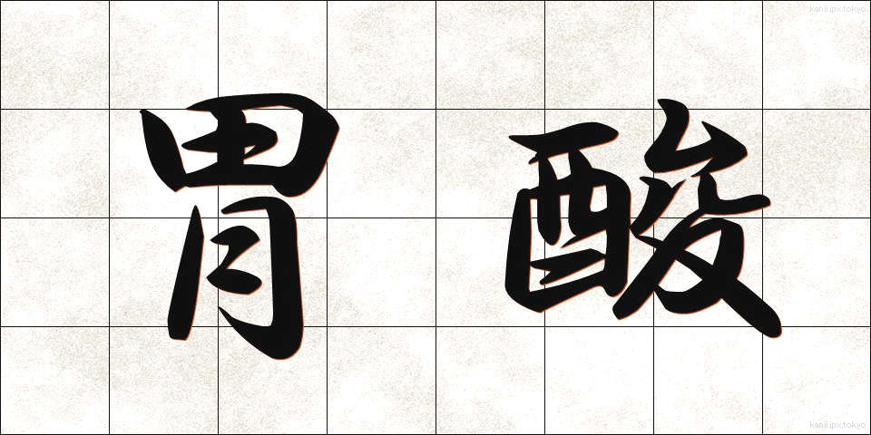 胃酸 (いさん)