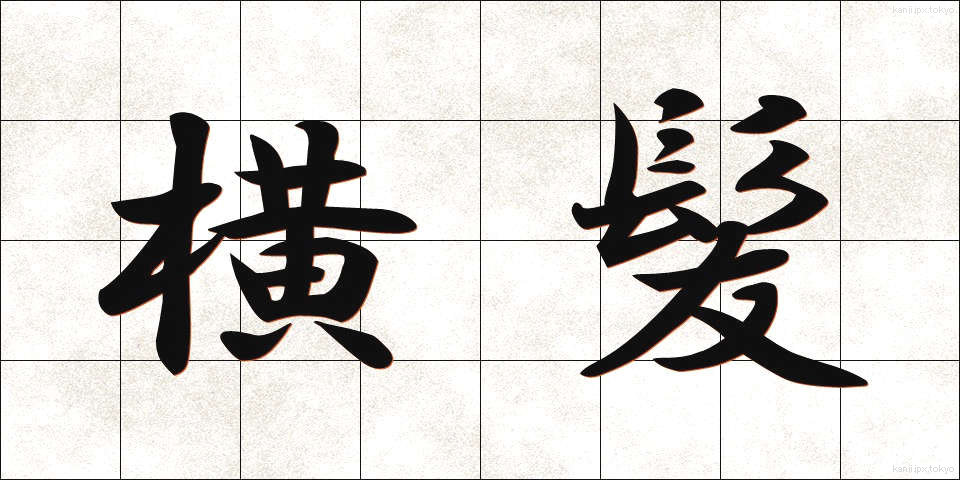 横髪 (よこがみ)