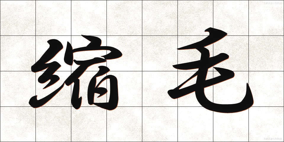 縮毛 (しゅくもう)