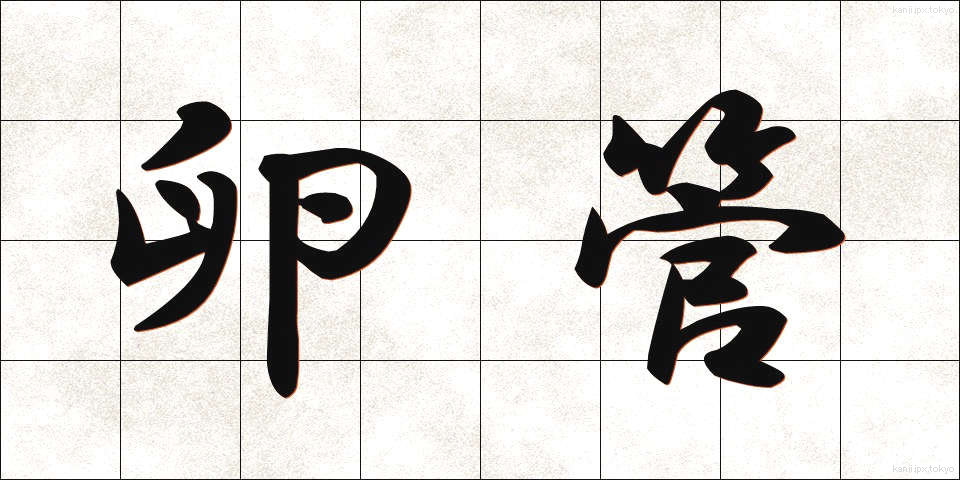 卵管 (らんかん)