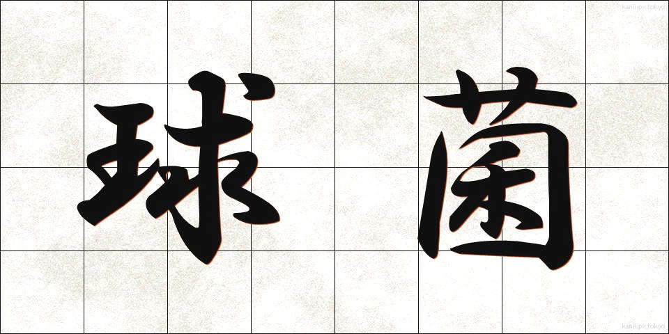 球菌 (きゅうきん)