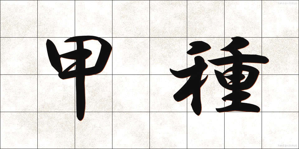 甲種 (こうしゅ)