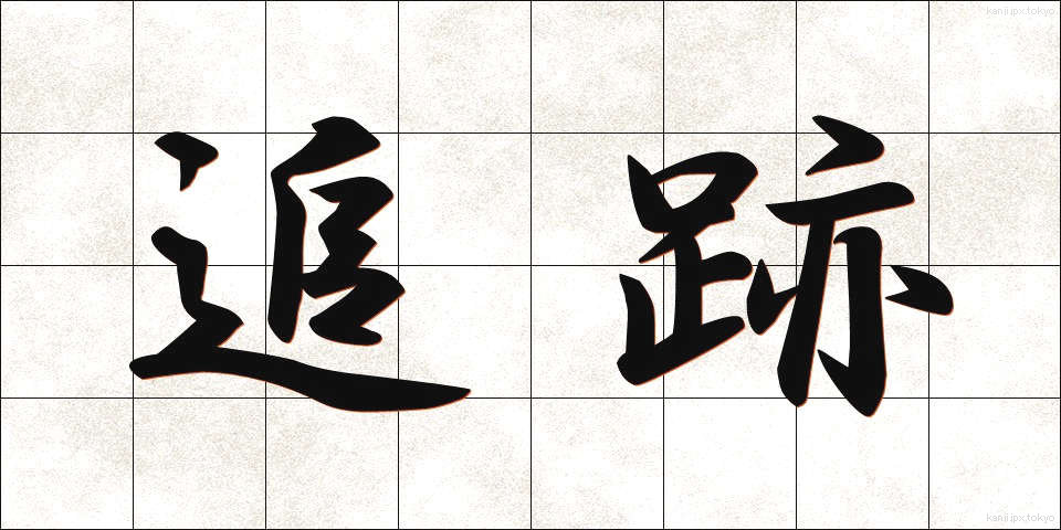 追跡 (ついせき)