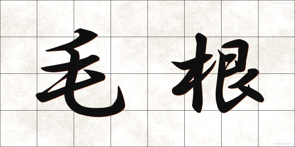 毛根 (もうこん)