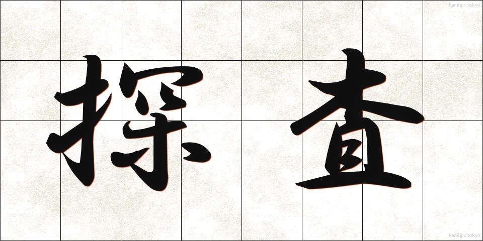 探査 (たんさ)