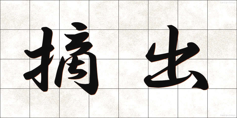 摘出 (てきしゅつ)