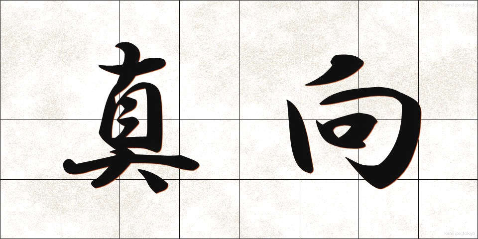 真向 (まっこう)