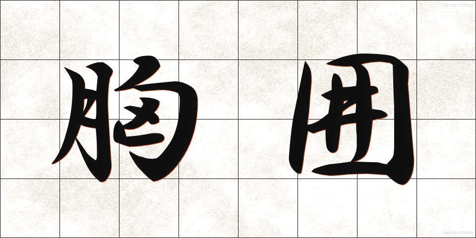 胸囲 (きょうい)