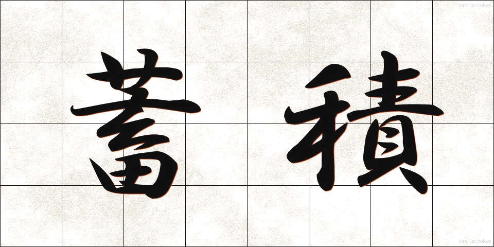 蓄積 (ちくせき)