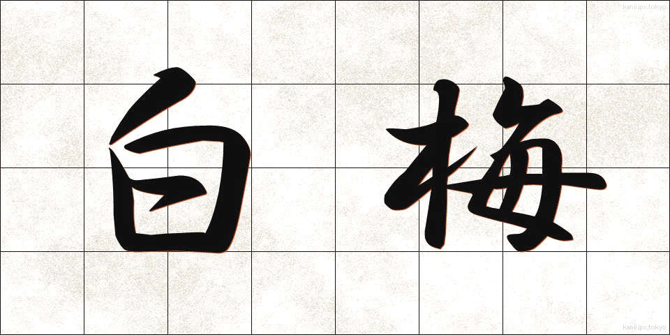 白梅 (しらうめ)