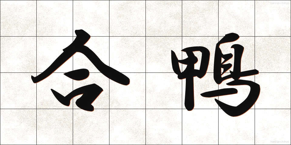 合鴨 (あいがも)