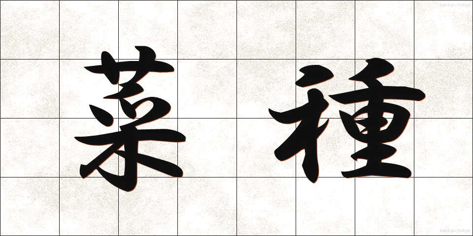 菜種 (なたね)