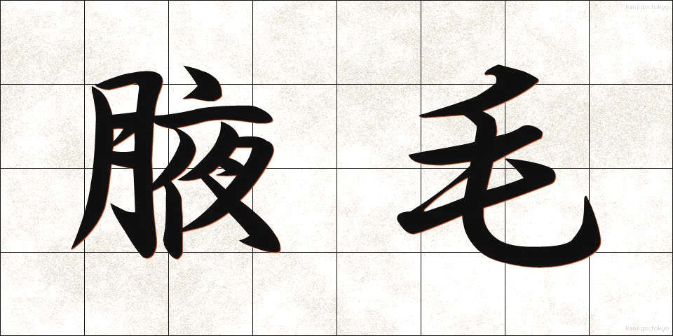 腋毛 (えきもう)