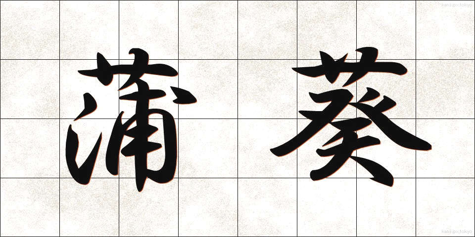 蒲葵 (ぶき)