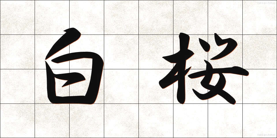 白桜 (しろざくら)