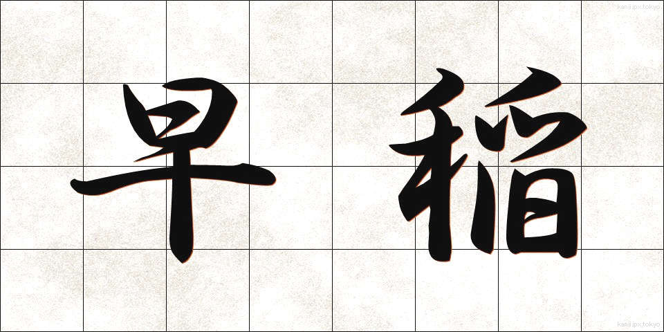 早稲 (わせ)