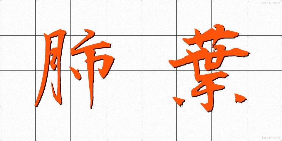 肺葉 (はいよう)