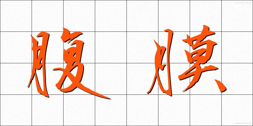 腹膜 (ふくまく)