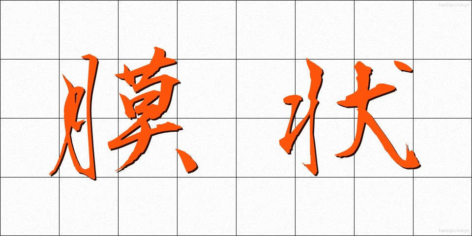 膜状 (まくじょう)
