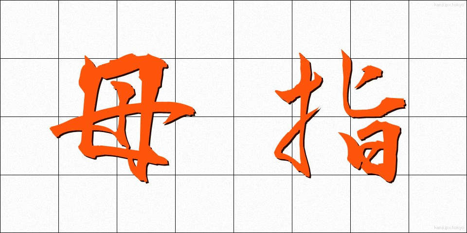 母指 (ぼし)