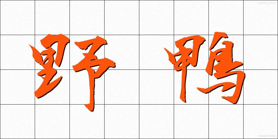 野鴨 (のがも)