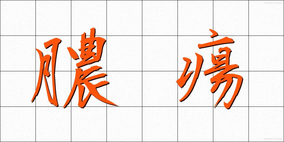 膿瘍 (のうよう)