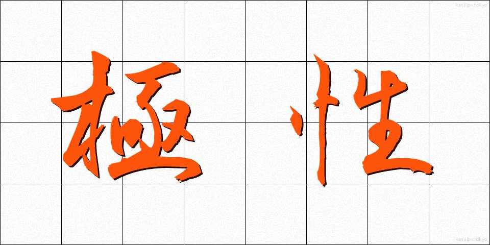 極性 (きょくせい)