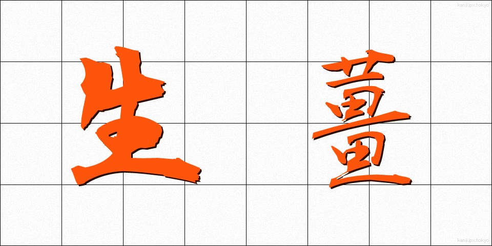 生薑 (しょうが)