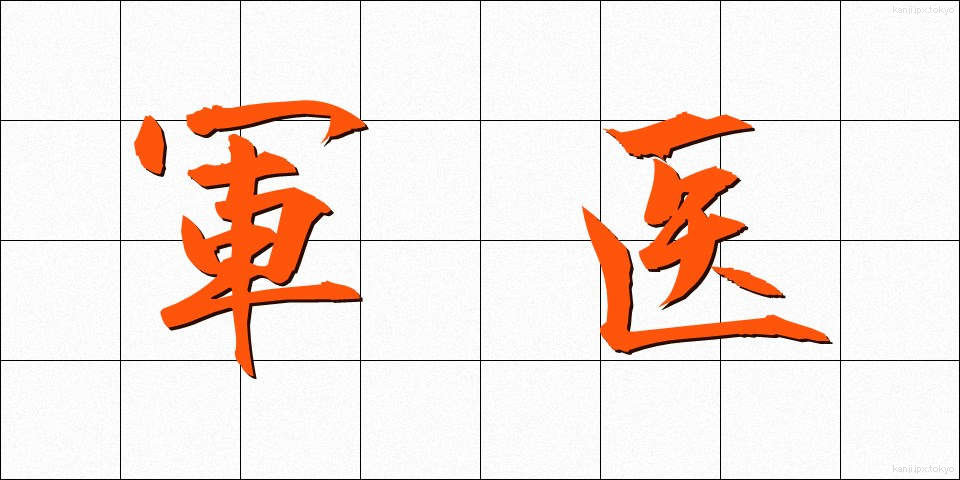 軍医 (ぐんい)
