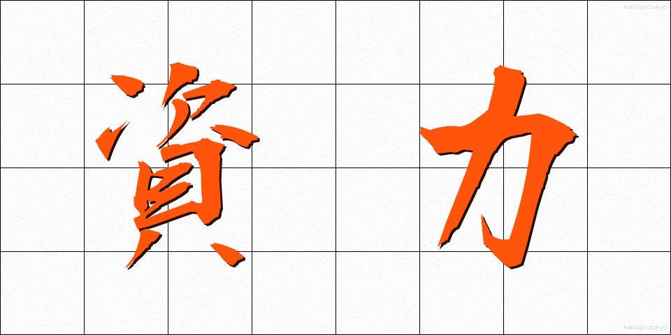 資力 (しりょく)