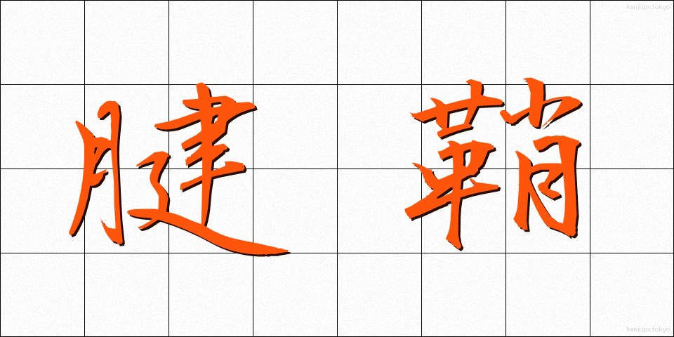 腱鞘 (けんしょう)