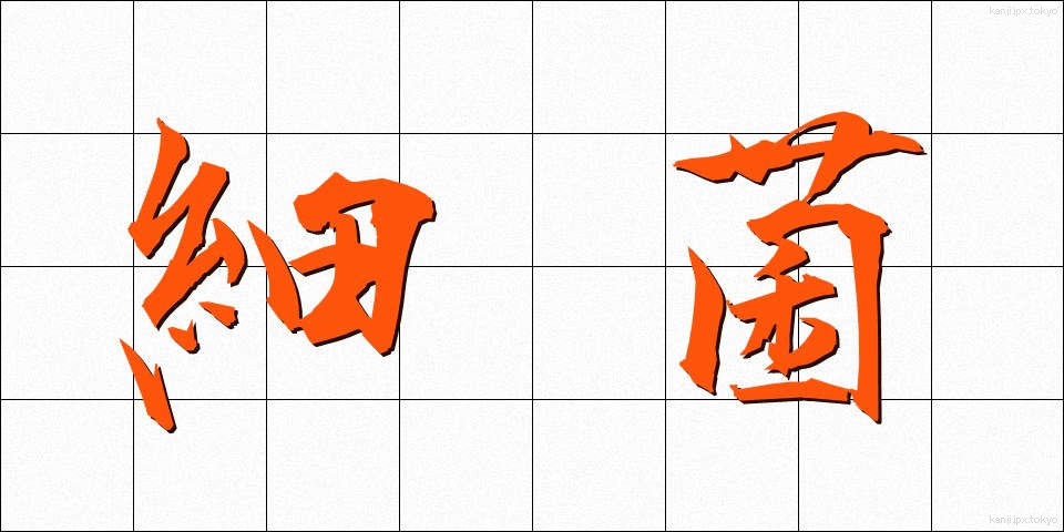 細菌 (さいきん)